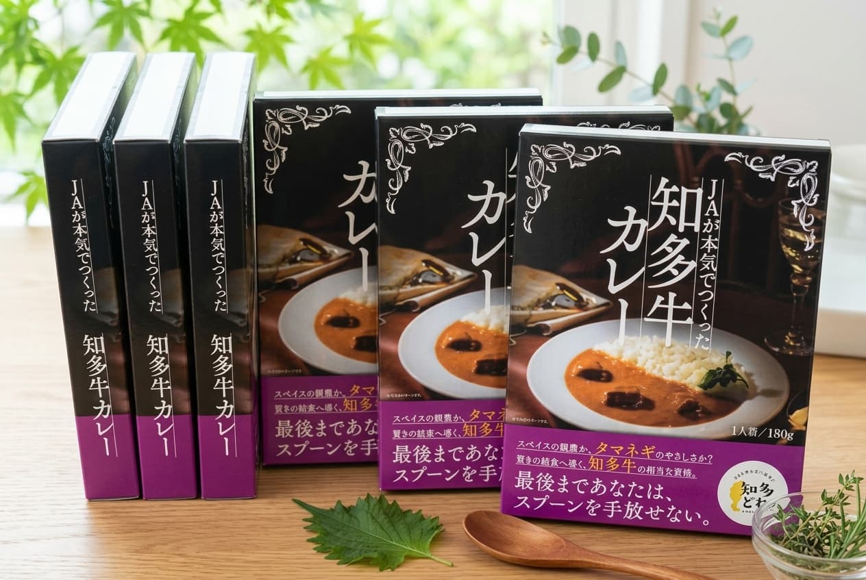 知多牛カレー（1箱1人前 180g）